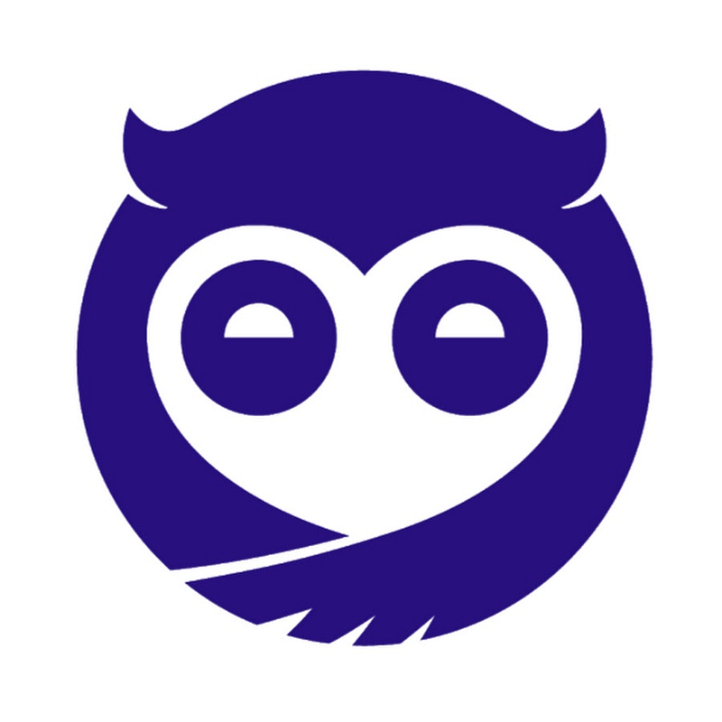 Sleepy Owl